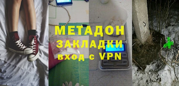 индика Алексин