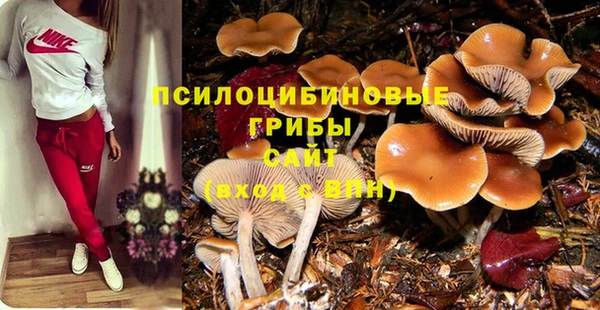 тгк Алексеевка