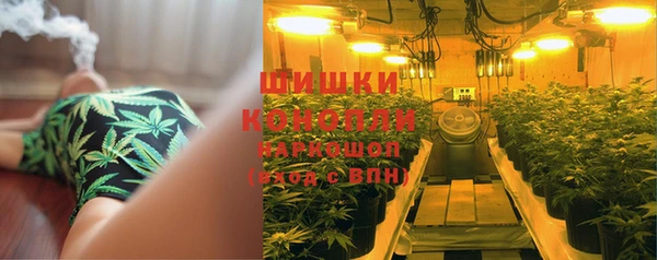 скорость Алзамай