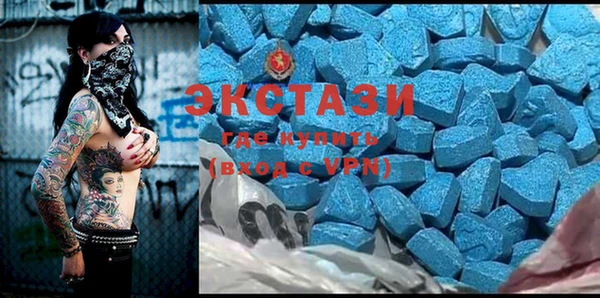 индика Алексин