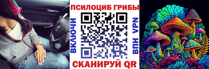 Псилоцибиновые грибы Cubensis  Ивангород 